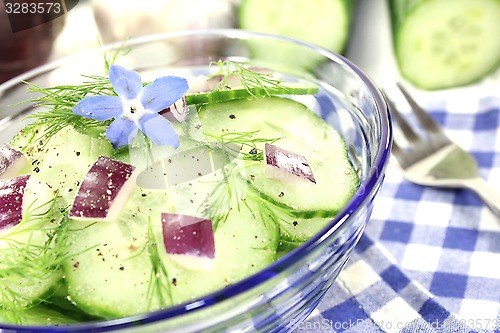 Image of Cucumber salad with red onions and borage flower