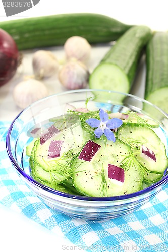 Image of Cucumber salad with borage flower