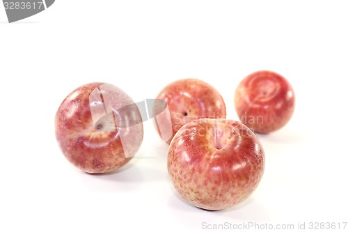 Image of fresh delicious Pluots
