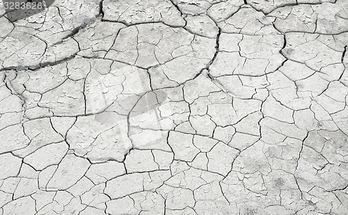 Image of cracked mud