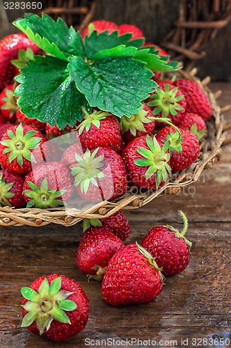 Image of summer harvest of strawberries