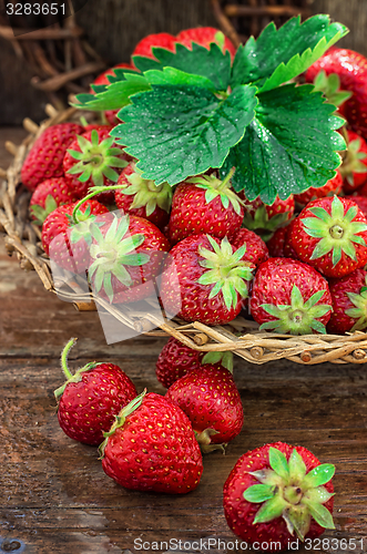 Image of summer harvest of strawberries