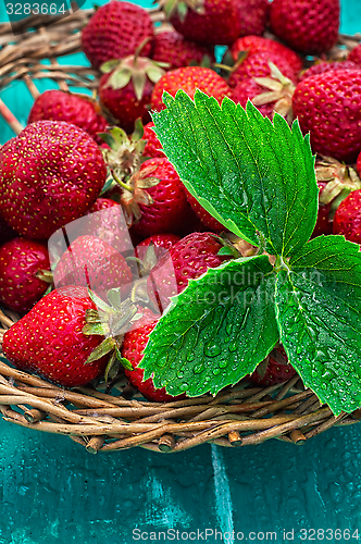 Image of summer harvest of strawberries