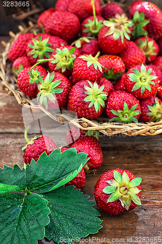 Image of summer harvest of strawberries