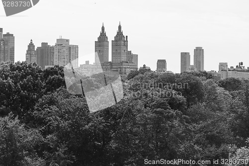 Image of Black and white San Remo from the MET