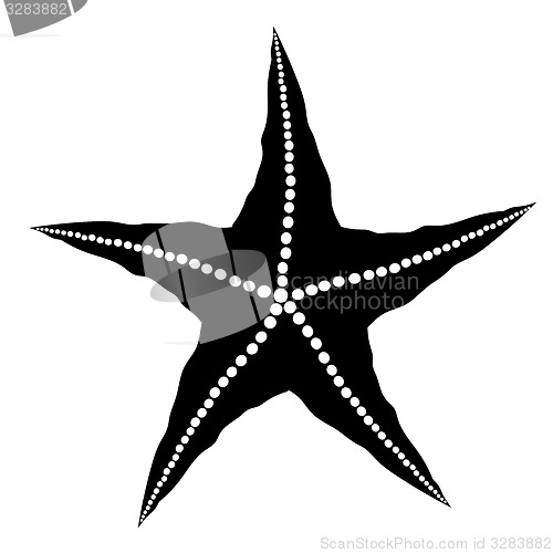 Image of Silhouette  of Starfish