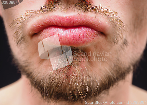 Image of Hot male lips with untrimmed beard at closeup