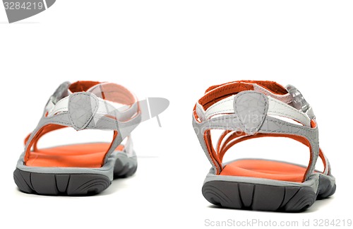 Image of Summer sandals. Back view.