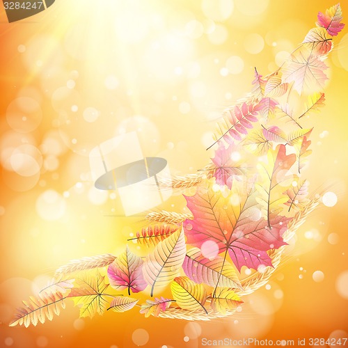 Image of Autumn background with colorful leaves. EPS 10