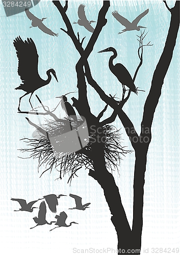 Image of animals, background, birds, black, design, drawing, fall, flight, flock, fly, formation, graphic, group, herons, illustration, isolated, nature, outdoors, poultry, scenic, season, silhouettes, vector,