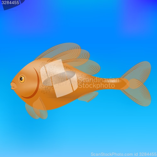 Image of Sea Fish