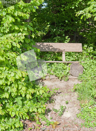 Image of wooden bench