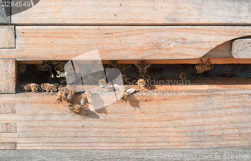 Image of beehive