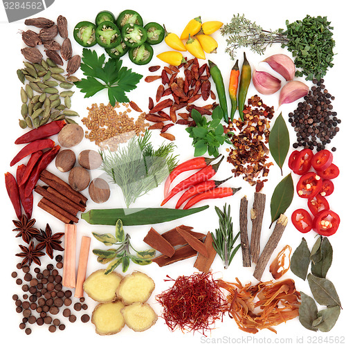 Image of Herb and Spice Sampler