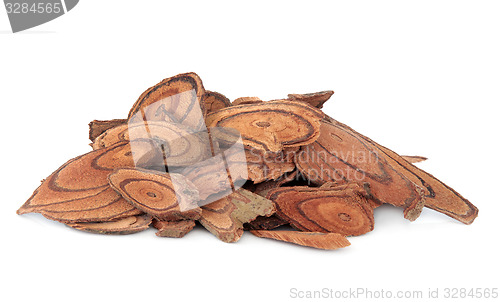 Image of Millettia Vine Stem