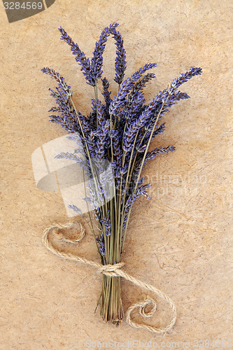 Image of Lavender Flowers