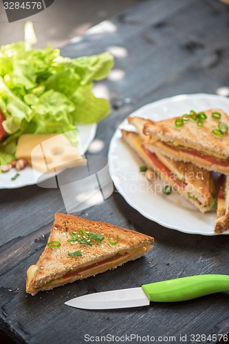 Image of Cheese sandwich