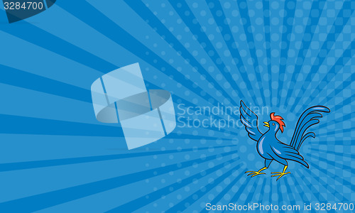 Image of Business card Chicken Rooster Wing Pointing Cartoon