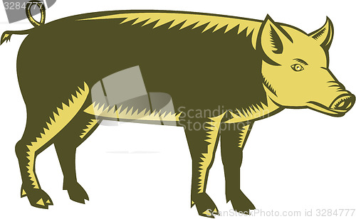 Image of Tamworth Pig Side Woodcut