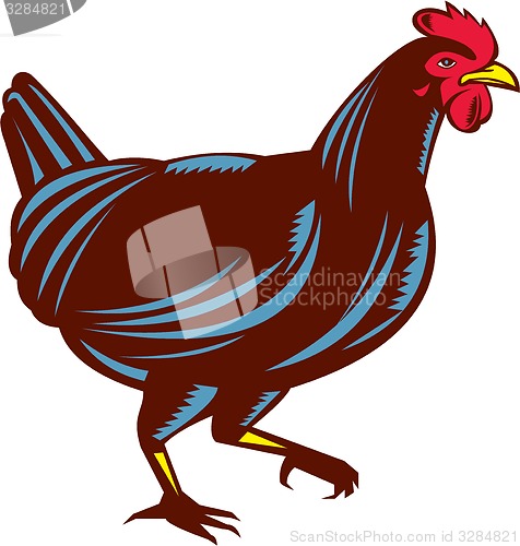 Image of Chicken Hen Walking Side Woodcut