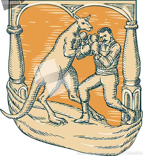 Image of Kangaroo Boxing Man Etching