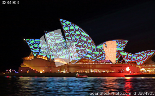 Image of Hand grabbing pattern Sydney Opera House Vivid