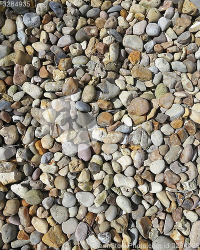 Image of Pebbles