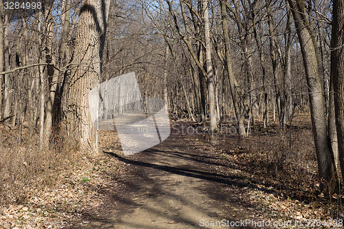 Image of Walking in a park