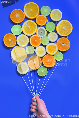 Image of Abstract Citrus fruits  bouquet
