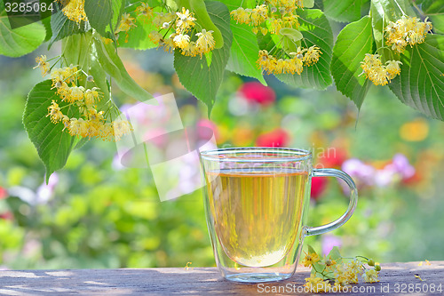 Image of Linden tea in a glass cup