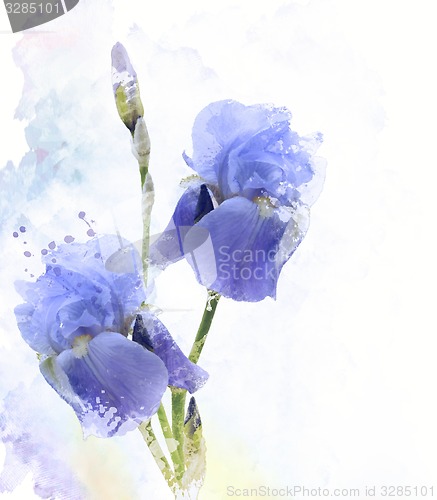 Image of Iris Flowers Watercolor