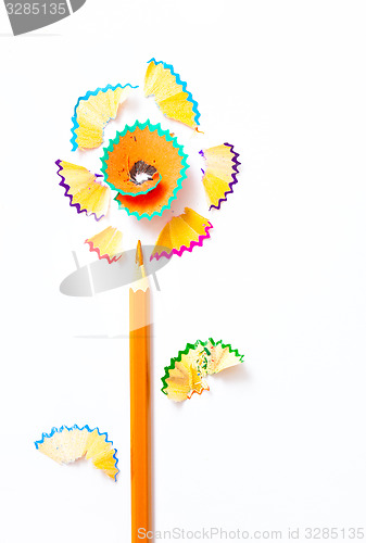 Image of pencil flower on white