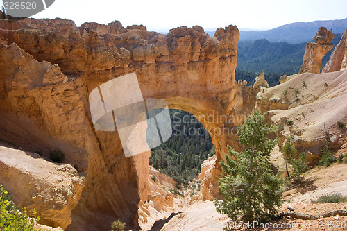 Image of Bryce Canyon National Park, Utah