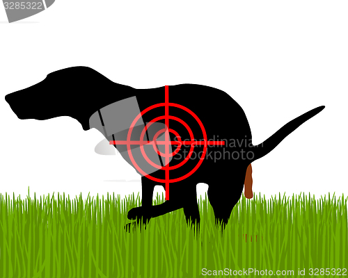 Image of Aim at dogs crapping