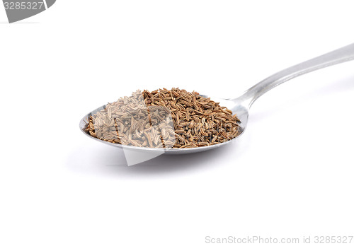 Image of Caraway seeds on spoon