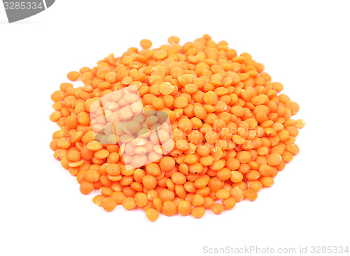 Image of Red lentils on white