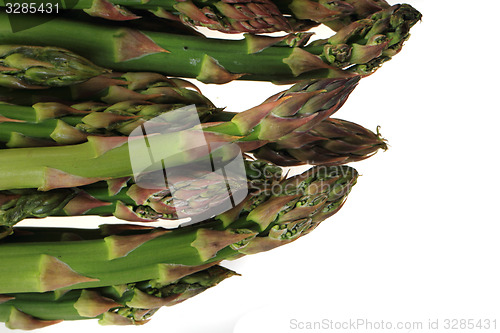 Image of green asparagus isolated