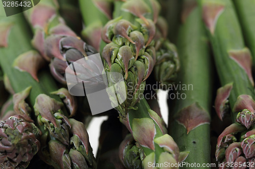 Image of green asparagus background