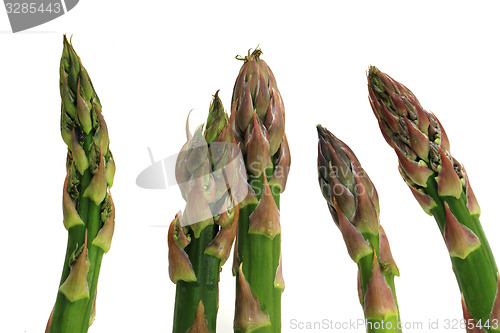 Image of green asparagus isolated