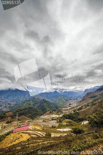 Image of Rice field terraces. Sapa Vietnam