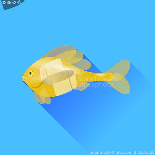 Image of Gold Fish