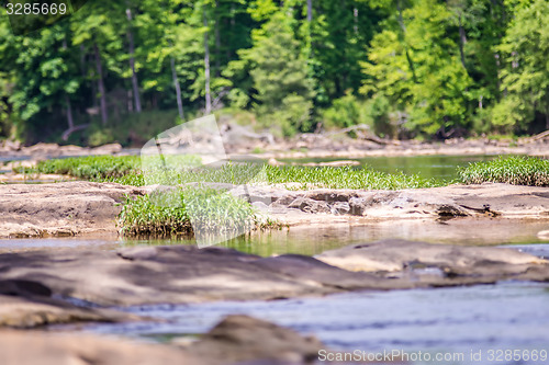 Image of scenes around landsford canal state park in south carolina