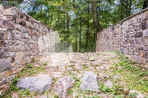 Image of scenes around landsford canal state park in south carolina