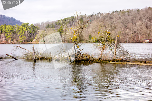 Image of pee dee and yadkin river flowing through uwharrie mountains