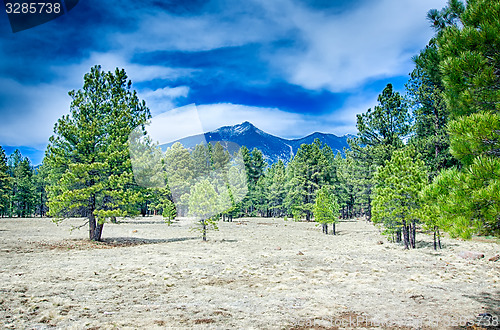 Image of Scenic desert landscape with Humphreys Peak seen in the distance