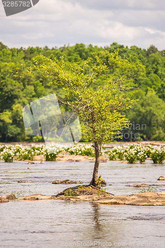 Image of scenes around landsford canal state park in south carolina