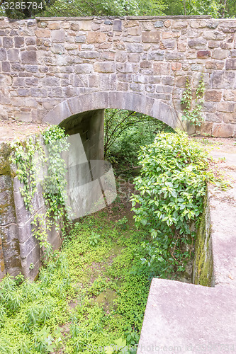 Image of scenes around landsford canal state park in south carolina