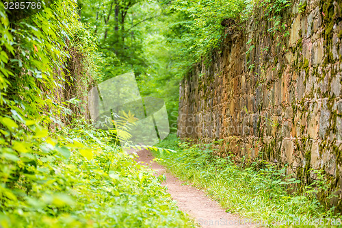 Image of scenes around landsford canal state park in south carolina