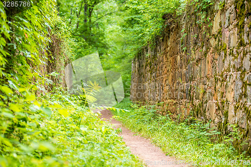 Image of scenes around landsford canal state park in south carolina