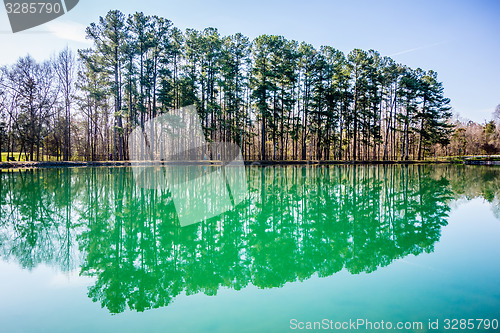 Image of evergreens reflecting in a pond in spring on a sunny day